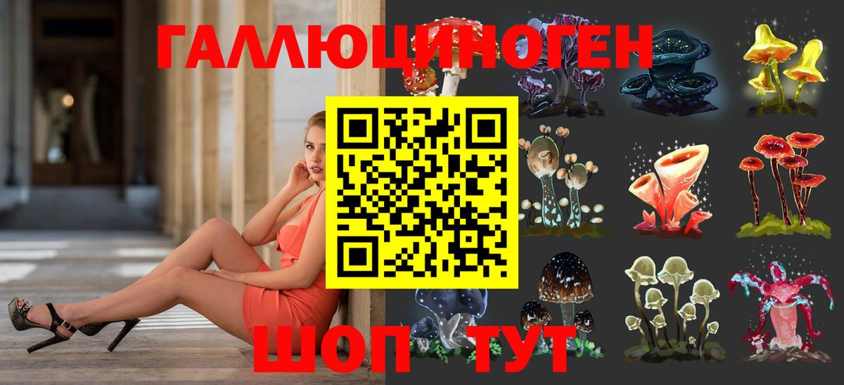Галлюциногенные грибы Psilocybine cubensis  Галлюциногенные грибы Psilocybe  Вход с VPN  Новочебоксарск 